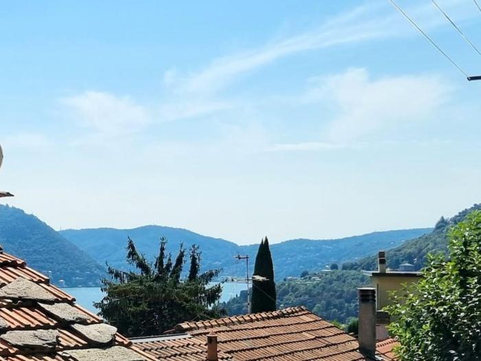 Grazioso appartamento Red Rose