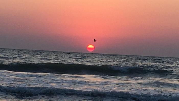 Lalas sweet nest by the sea side