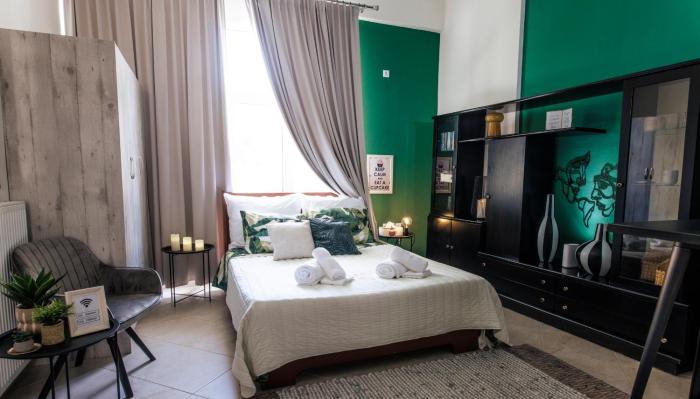Cozy studio Anastasia-spotless-quiet-Free private garage