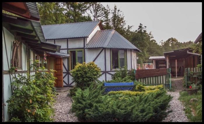 Pokój Paw-puszcza kampinowska