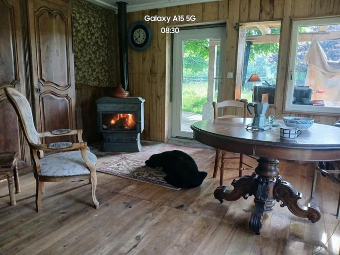 Charme en pleine nature