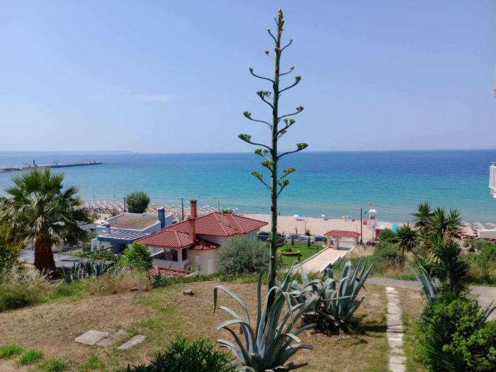 SEA PARADISE