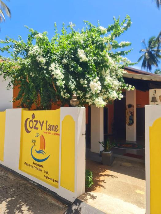 Cozylane