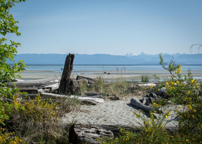 Windslow Guest Suite at Kye Bay