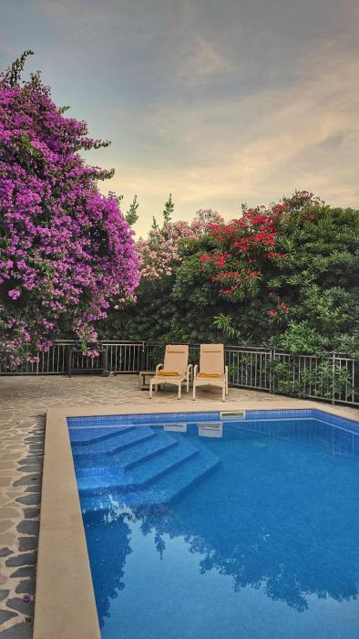 Villa Sazanka with private pool