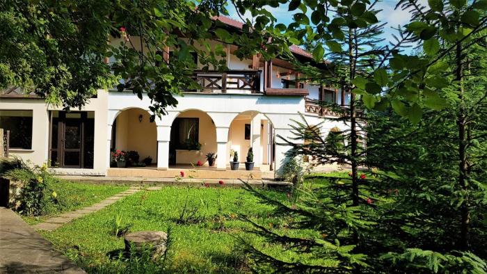 Vila Arcadia Sucevita