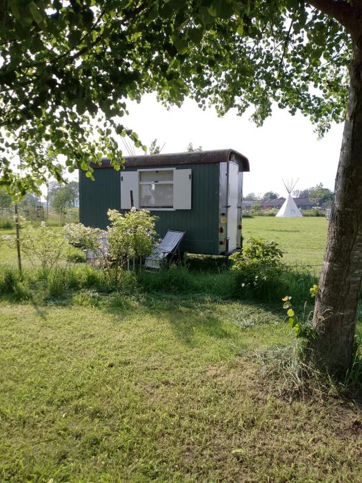 Gezellige en frisse pipowagen bij Zutphen en IJssel