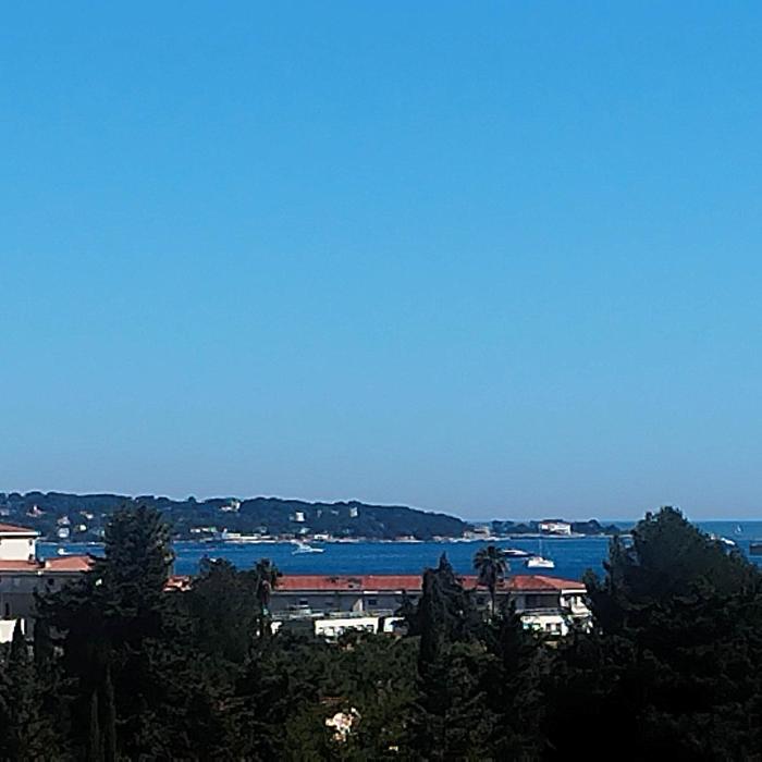 Bel appartement 3 chambres 9 mn de la plage à pieds Juan les pins