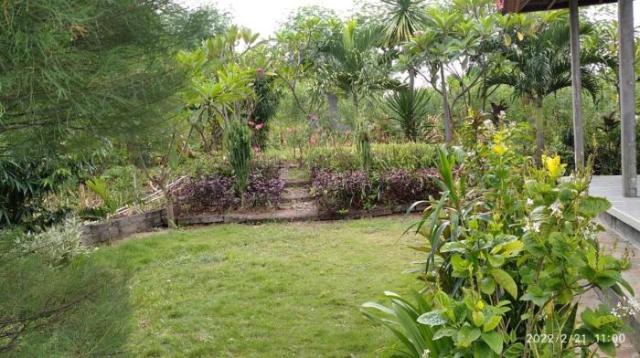 West Bali Menjangan Tour