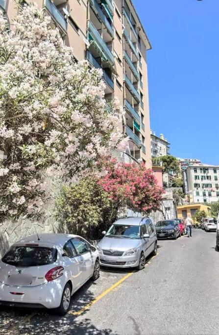 Casaberian Genoa-Genova-Marassi-Portofino-Ligure-Santa Margherita ITALY