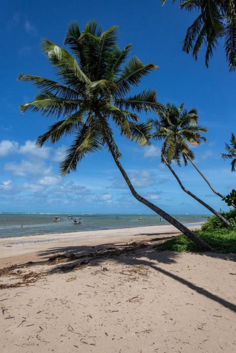 Paraíso beira-mar na Praia do Patacho - 4 suítes