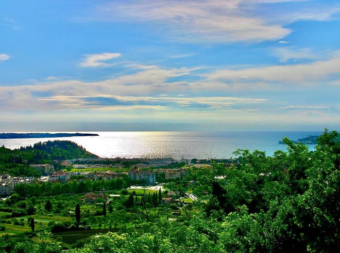 Hiša Olive Portorož - Olive House Portorož