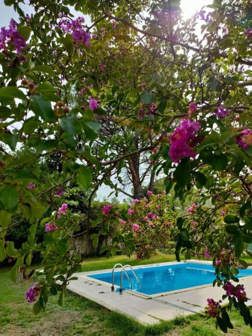 Villa indépendante avec piscine au rdc