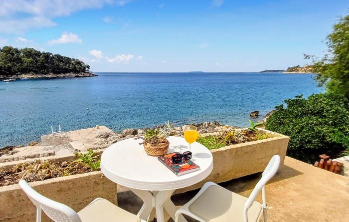 Pet Friendly Home In Blato With Kitchen