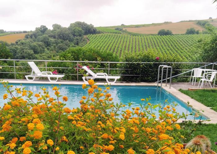 Quinta Santo António