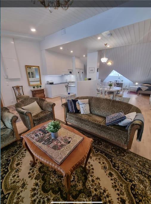 Uniikki kattohuoneisto ydinkeskustassa, lämmin pysäköinti, max 6 hlöä