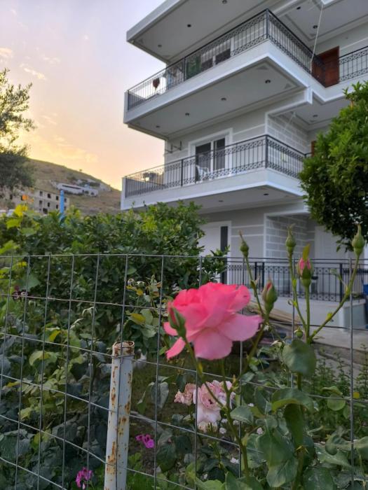 Vaya Guesthouse