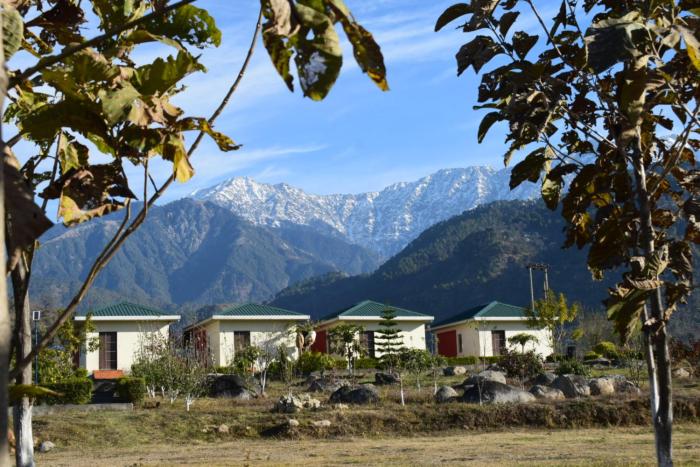 Dhauladhar View Village Resort
