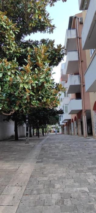 Apartmani Koda 2