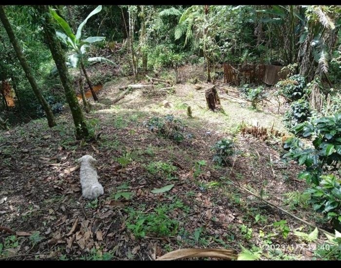 Casa parcela campestre