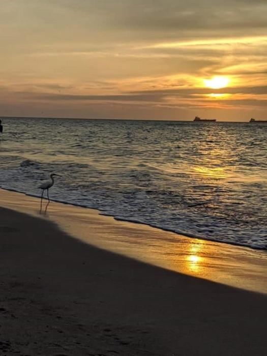 San Jose de los Acuarios