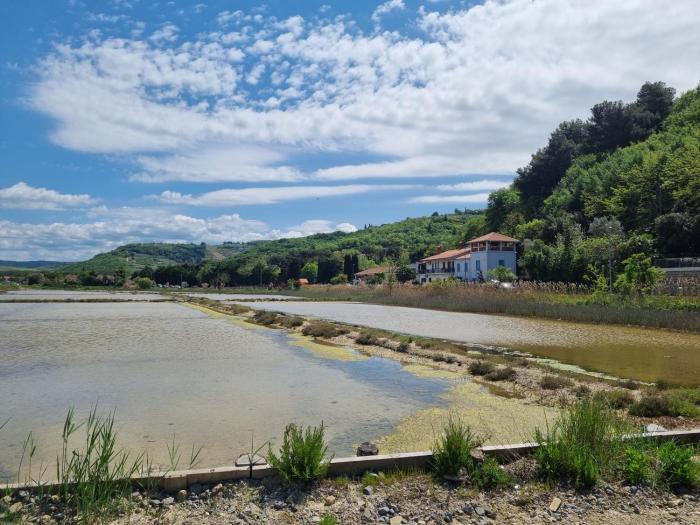 Salt Field Residence