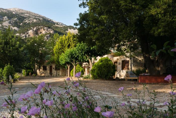 Akros Oreon, Omalos Studio