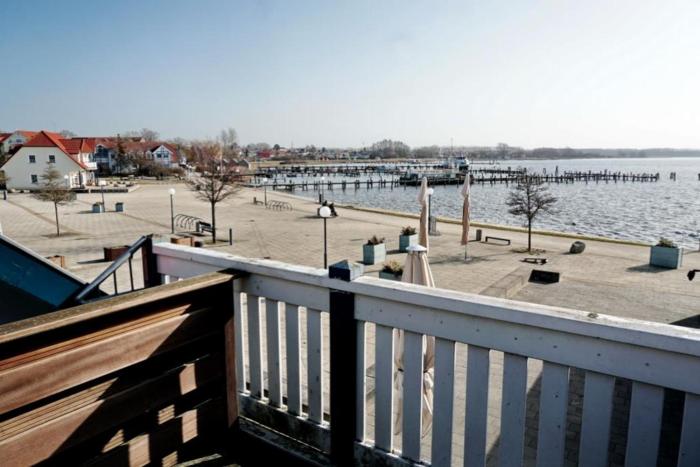 Fewo 06 Mantelmöwemit Blick auf Salzhaff und Ostsee