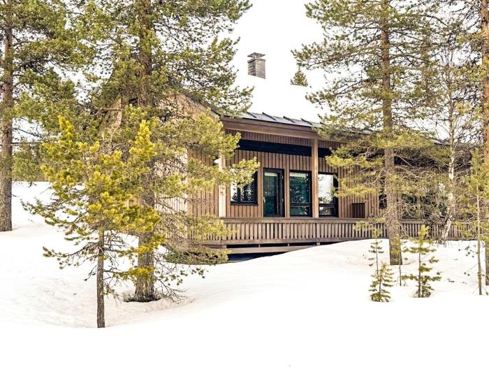 Holiday Apartment Hirvas 1