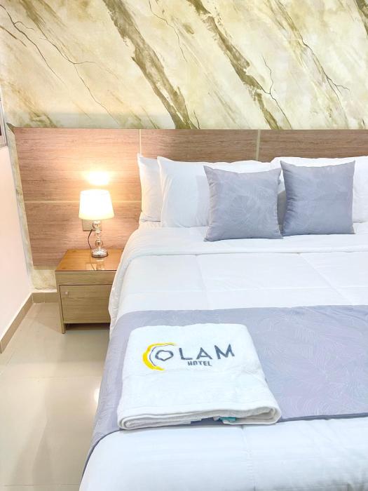 Hotel Olam Deluxe Valledupar