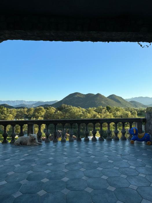 NikolaS Family cottage