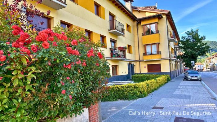Cal Harrys - La Mejor Casa de vacaciones en Pyrenees con Vistas a la Montaña