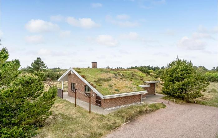 Holiday Home Solhaven Blåvand Iv