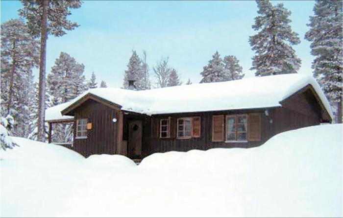 Gorgeous Home In Särna With Kitchen