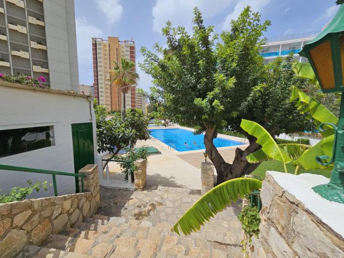 Apartamento Girasol 4 IF Benidorm