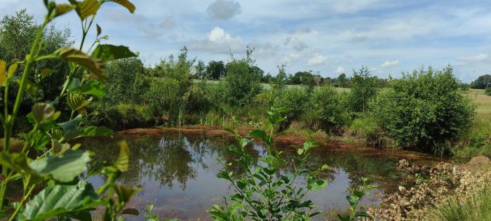 Agroturystyka Zielony Domek - Apartament na wyłączność, slow life, staw, oswojone zwierzęta gospodarskie, posiłki z własnych eko produktów