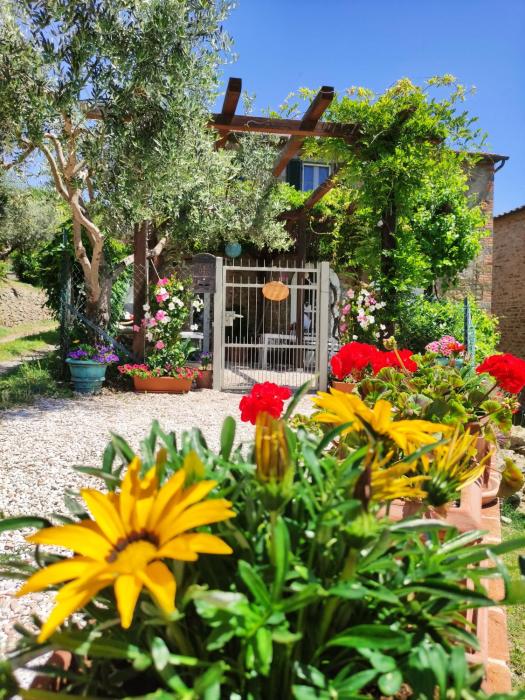 Private Stone Cottage with Starlink & Lake View