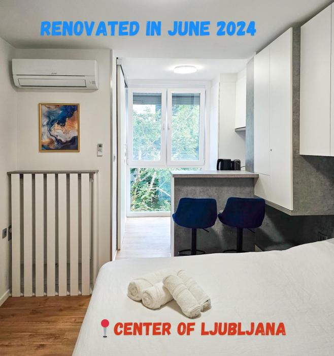 TOP - Ljubljanas Central Gem - free public parking