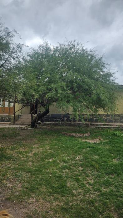 Residencia villa monica