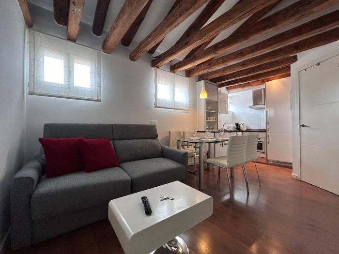 Emblematic flat in Madrid Central - Arenal
