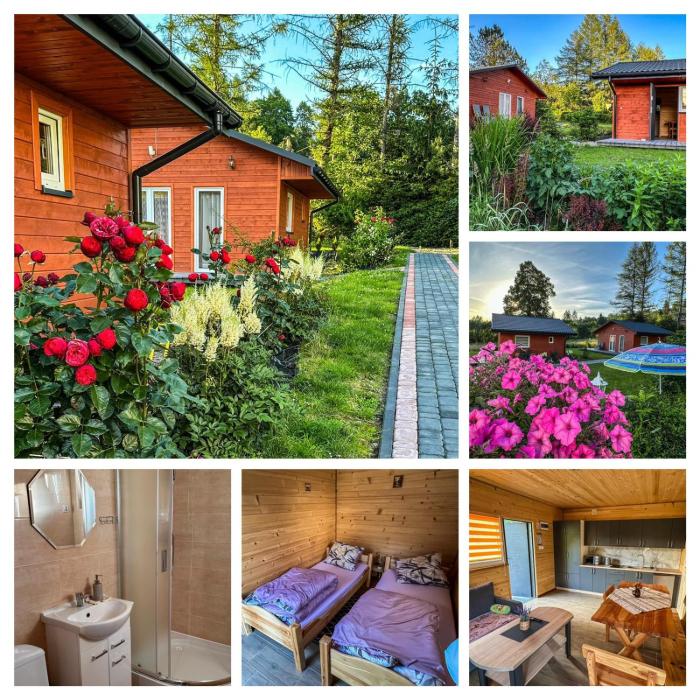 ZIELONY GAJ przy SOLINIE