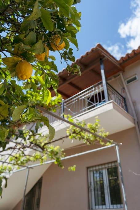 Cozy loft Big balconycomfort Near Sarandë