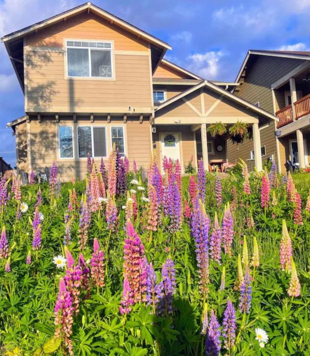 Central Tacoma Homestay with breakfast included -private room-