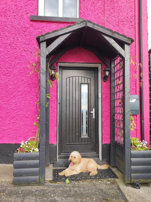 The little pink house