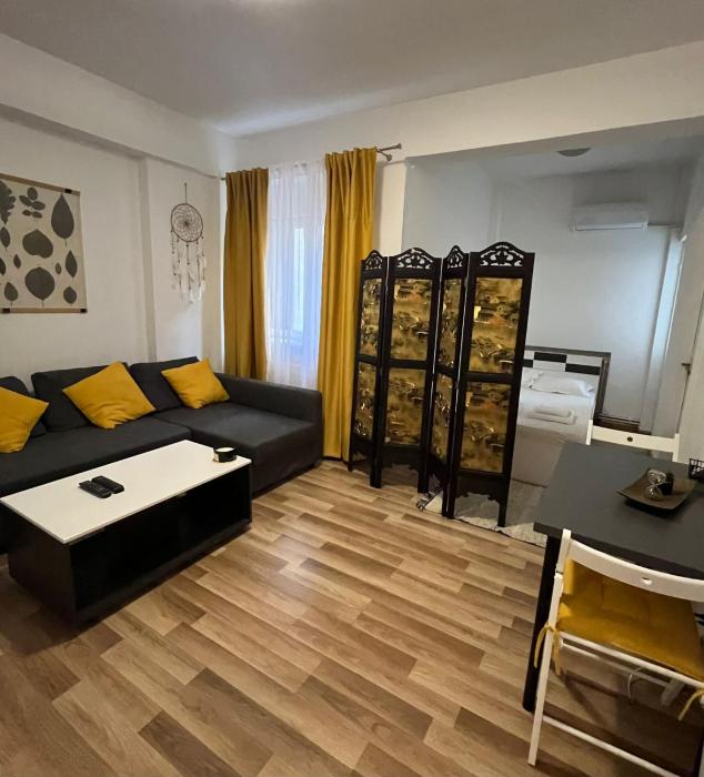 Studio Ultracentral Universitate