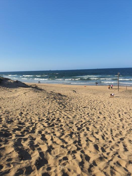 North Beach Summer Homes