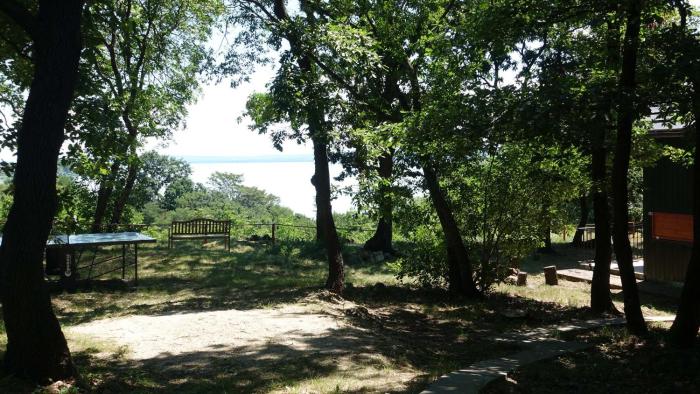 Tölgyes Lak, Pálköve