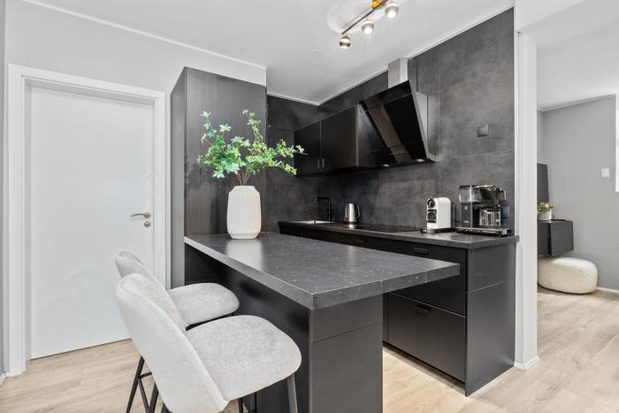 Vatnsstigur Apartment