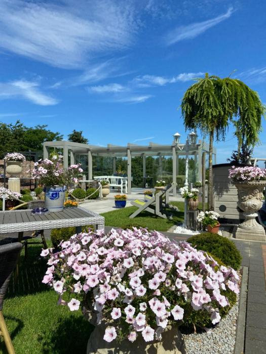 Domki Nad Rozlewiskiem Basen, Małpi Gaj w Świetlicy - Wszystko dla Dzieci