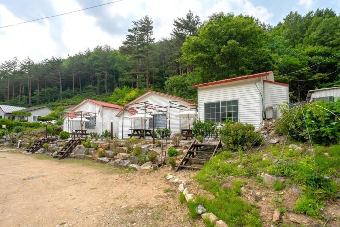 Yang yang Sanjang Love Story